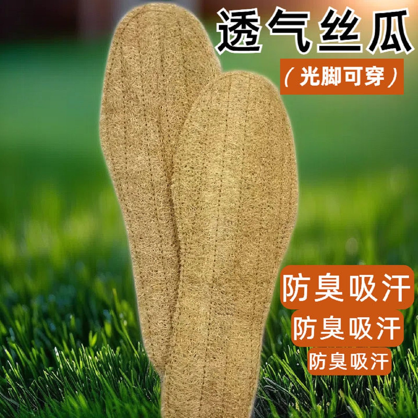 天然丝瓜络鞋垫加厚防臭吸汗丝瓜瓤脚垫舒适按摩透气男女运动鞋垫,服饰配件/皮带/帽子/围巾,鞋垫,淘宝优惠券,粉丝福利购,淘宝优惠卷