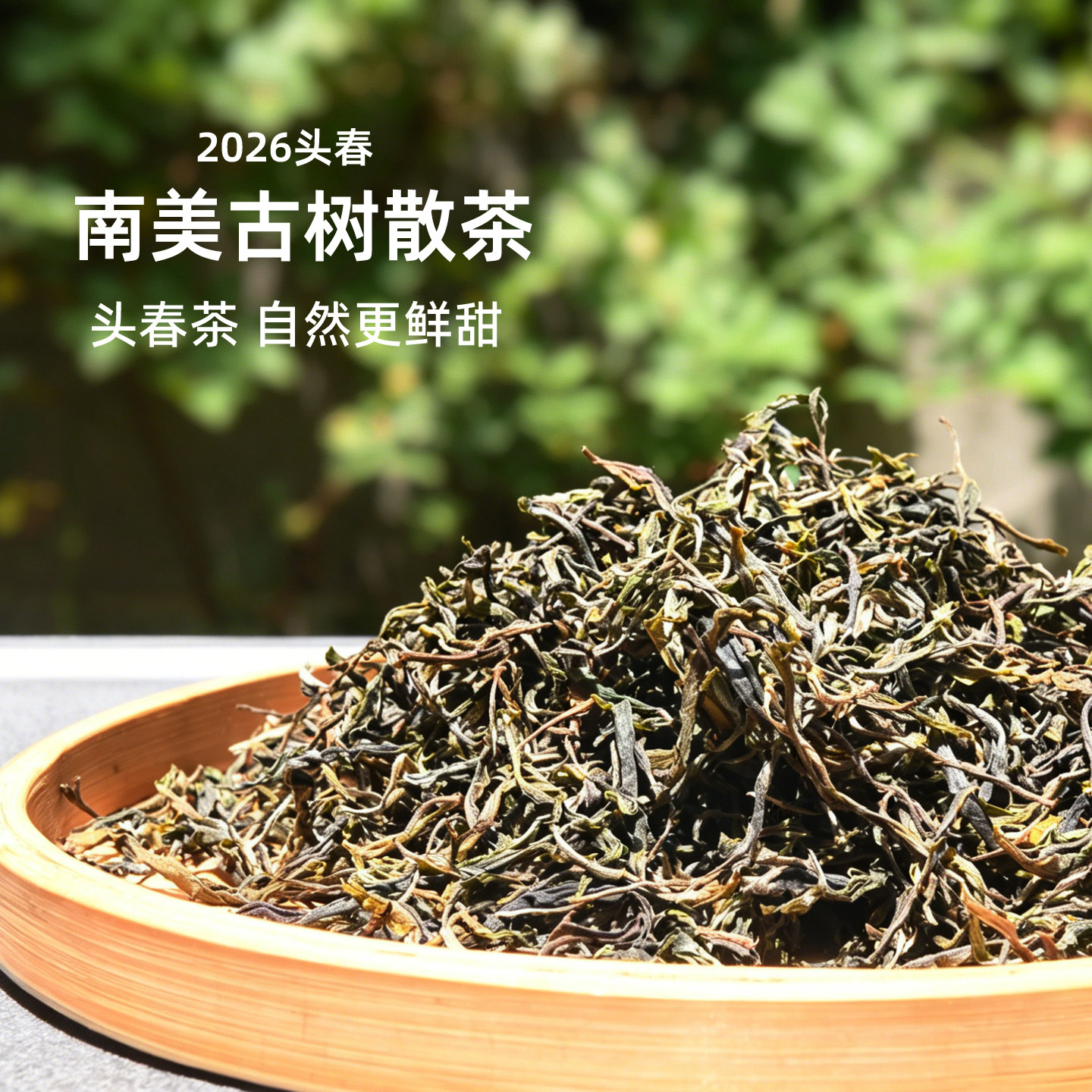 吃茶哥2026南美古树散茶