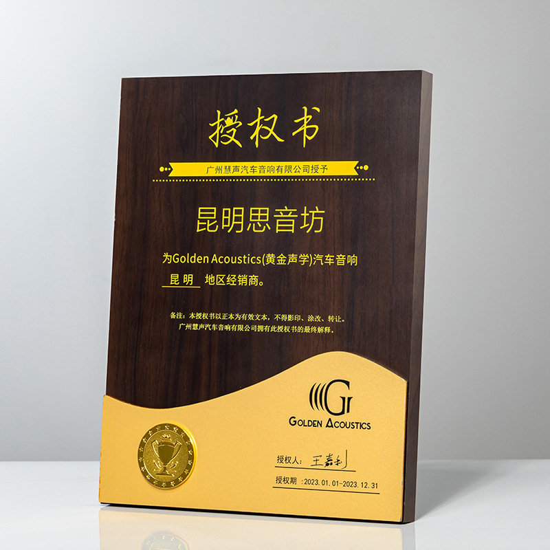 新款荣誉奖牌奖杯战略合作伙伴团队颁奖捐赠证书商会会长企业嘉奖