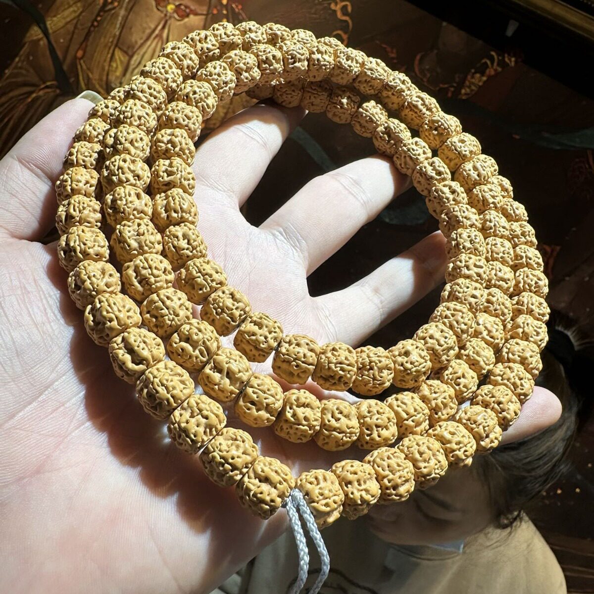 尼泊尔天然金刚菩提手串五瓣无齿扇面金刚菩提子原籽佛珠文玩男士