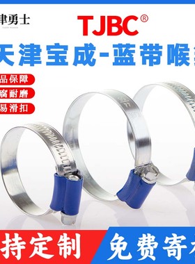 TJBC蓝带卡箍镀锌非不锈钢蓝头喉箍水管夹抱箍喉扎蓝带碳钢喉箍