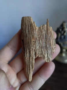 天然沉香摆件孤品收藏文玩老料虫漏结香树心油约6.2克重