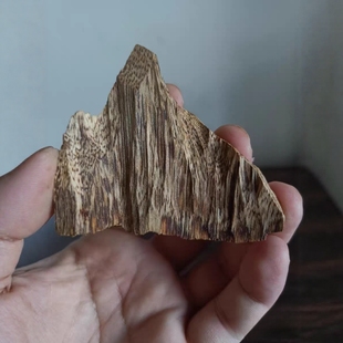 天然沉香摆件孤品文玩收藏老料虫漏结香树心油约8.5克重