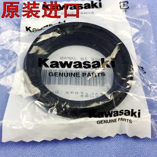 原装ZX1400 ZR1100 ZRX1200 大猪头 ZZR1100 GPZ六眼魔神前叉尘封