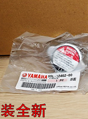 原装进口R1-R6 MT-01-07-09 FZ6N FZ8 FZ1S XJ6 FZ1000 600水箱盖