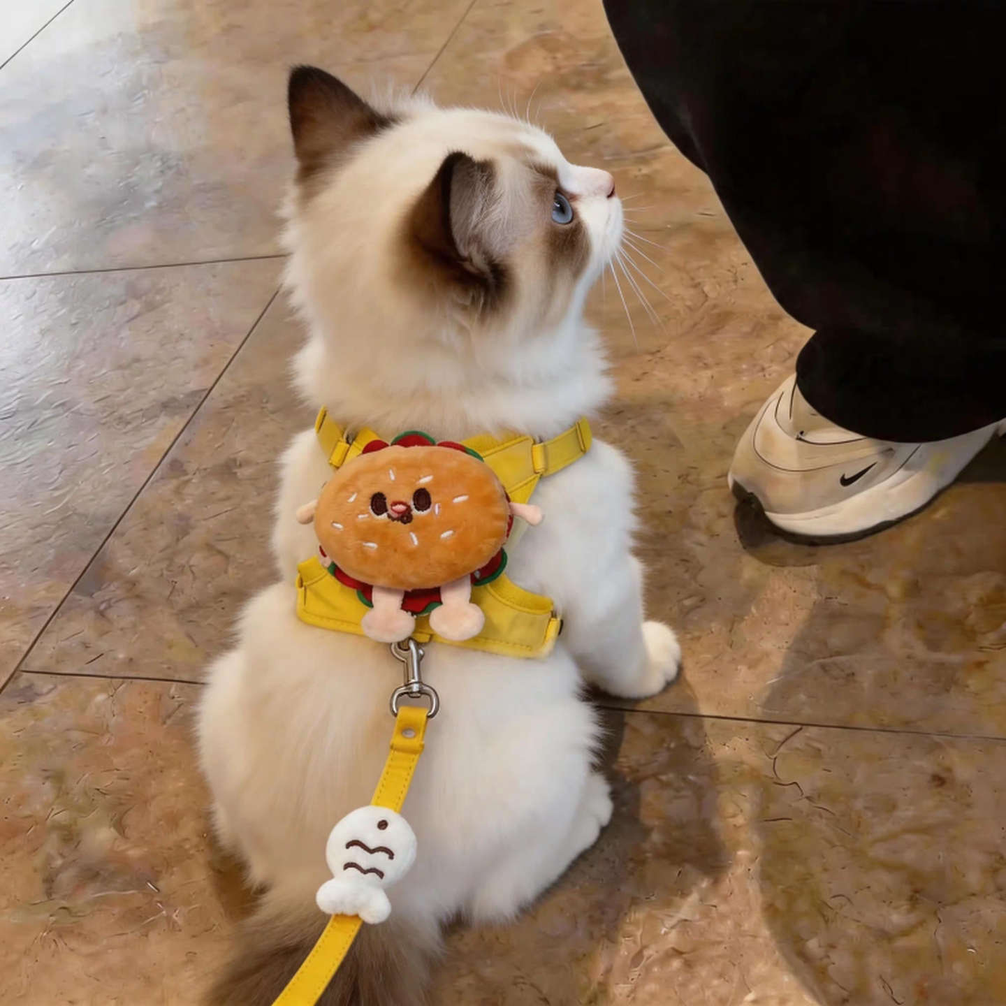 猫咪可爱胸背牵引绳卡通面包玩偶宠物狗狗外出防挣脱可伸缩遛宠绳