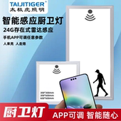 集成吊顶灯300x600雷达人体存在感应平板灯走廊过道卫生间面板灯