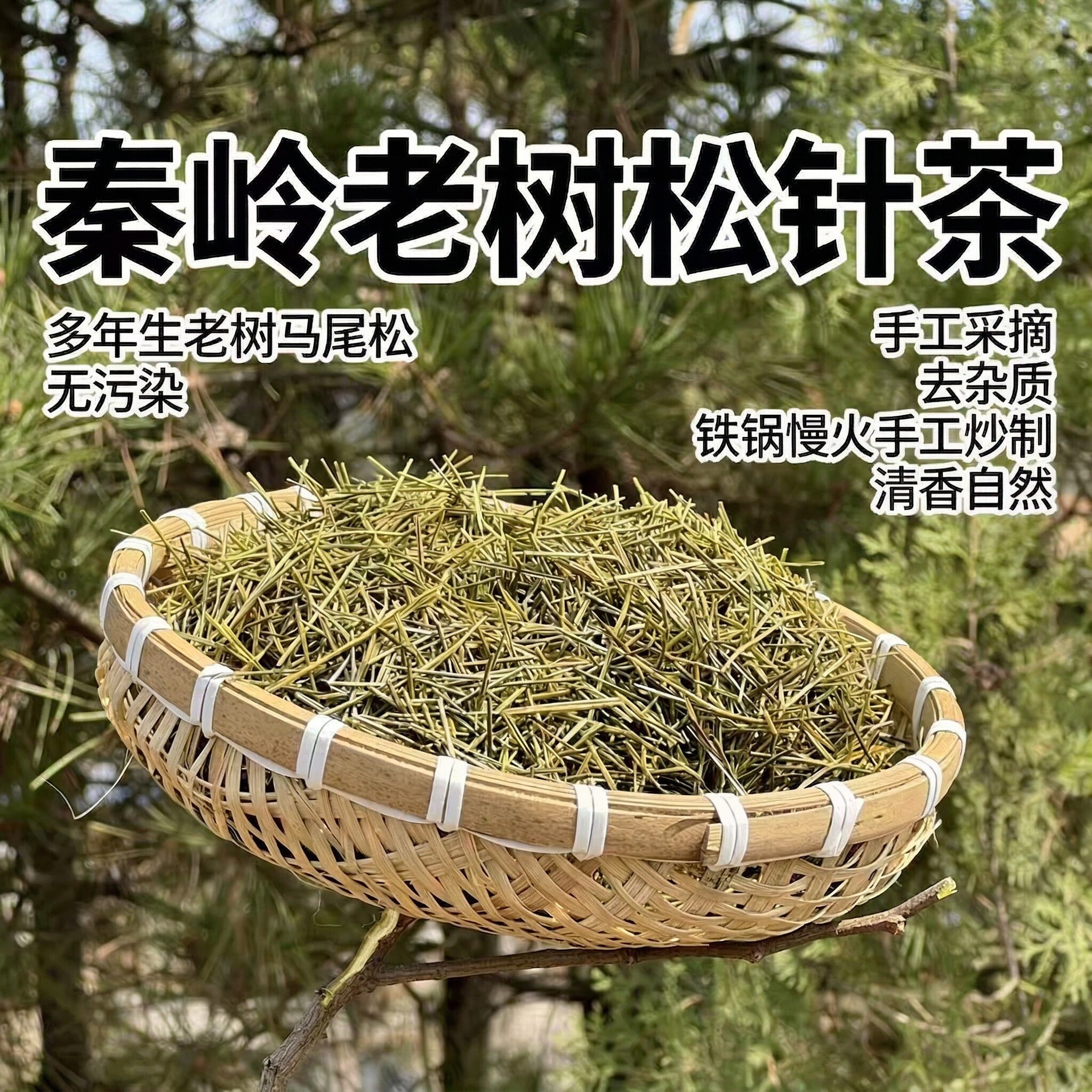 秦岭新鲜野生松针茶马尾松松针干松针叶全松茶手工古法铁锅炒制茶