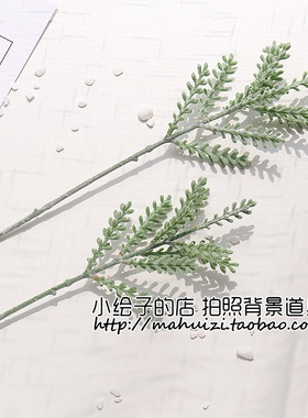 单支价仿真绿色多肉小叶枝 搭配装饰摆件 摄影拍照拍摄背景布道具