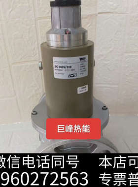 全新SG50FS/220施能慢开电磁阀SG50RS/220 燃气询价