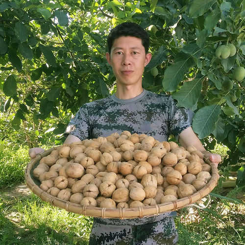 2025年新货阿克苏185纸皮核桃