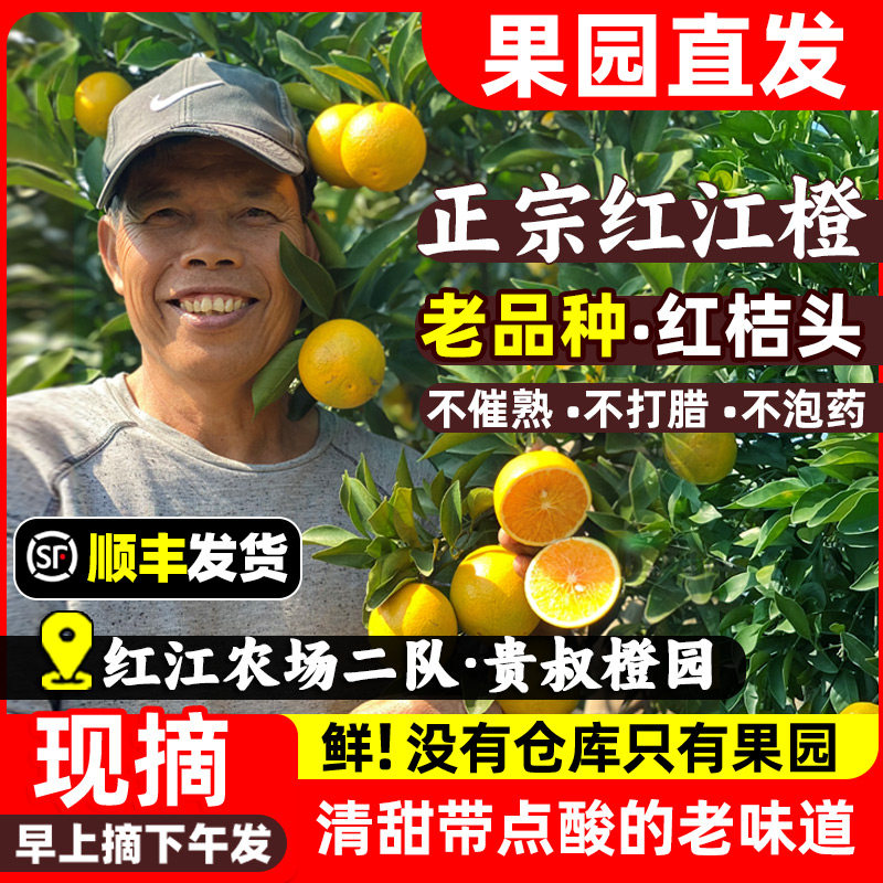 红江橙正宗红江农场廉江红橙广东湛江特产5kg现摘水果新鲜红橙子