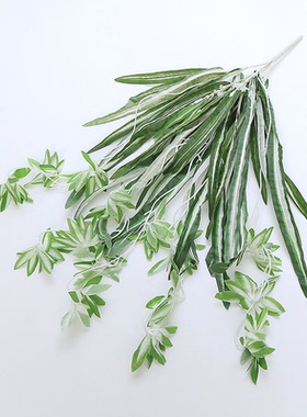 仿真吊兰婚庆绿植墙假花