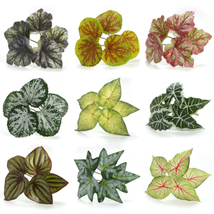 家居室内装饰仿真枫叶绿植小盆栽摆放插花养殖箱造景假叶子龟背叶