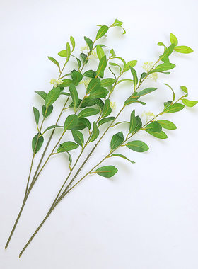 仿真植物装饰叶子假树树枝桂花枝