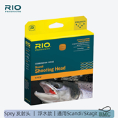 通用飞钓Spey发射头浮水Rio单色飞蝇鱼线Scandi远投Skagit多重量