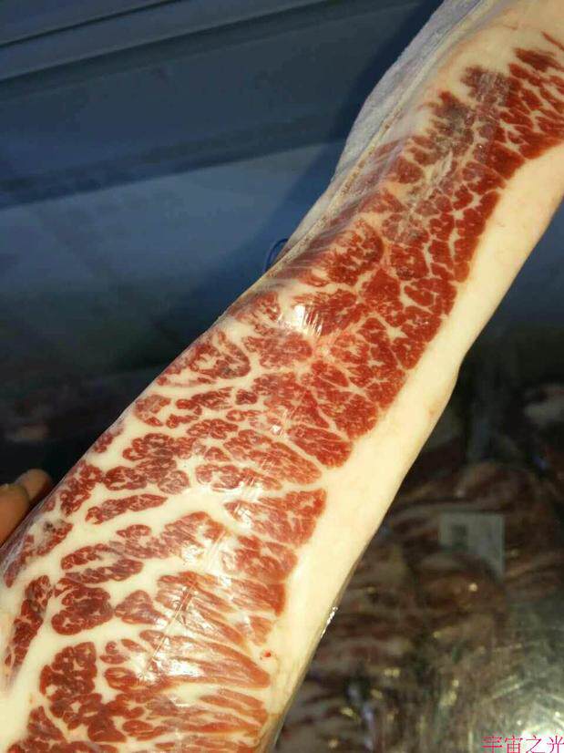 商用牛胸叉火锅牛肉 雪花牛肉雪龙黑牛整块称重
