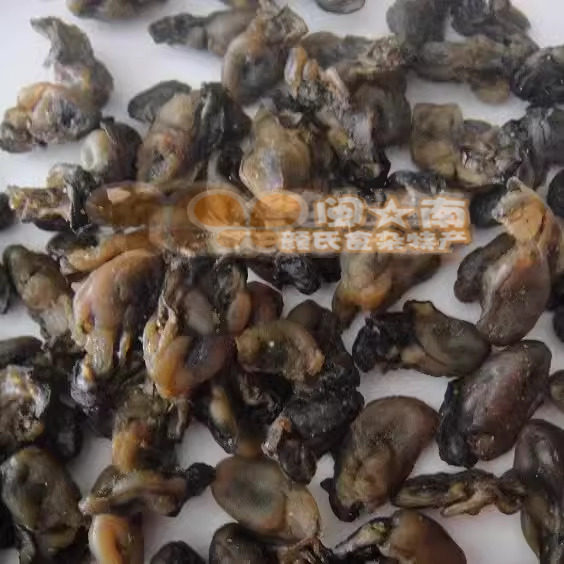 福建特产 闽南 海蛎干 500g 蚵干 蚝干 蚝豉 海蛎子牡蛎