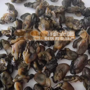 福建特产 闽南 海蛎干 500g 蚵干 蚝干 蚝豉 海蛎子牡蛎