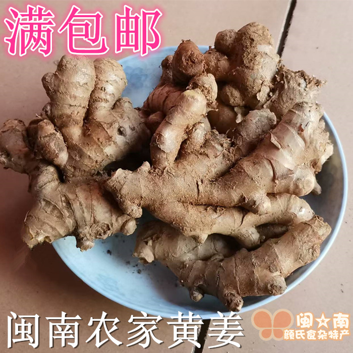 满包邮 永春老姜母 黄姜 500g 坐月子姜 农家种植 土生姜 小黄姜