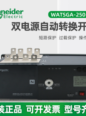施耐德双电源自动转换开关WATSG-250A/250A/4A 4P 250A