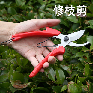果树剪刀整枝剪园艺剪枝树铝合金V8整枝 园林花木修剪工具修枝剪