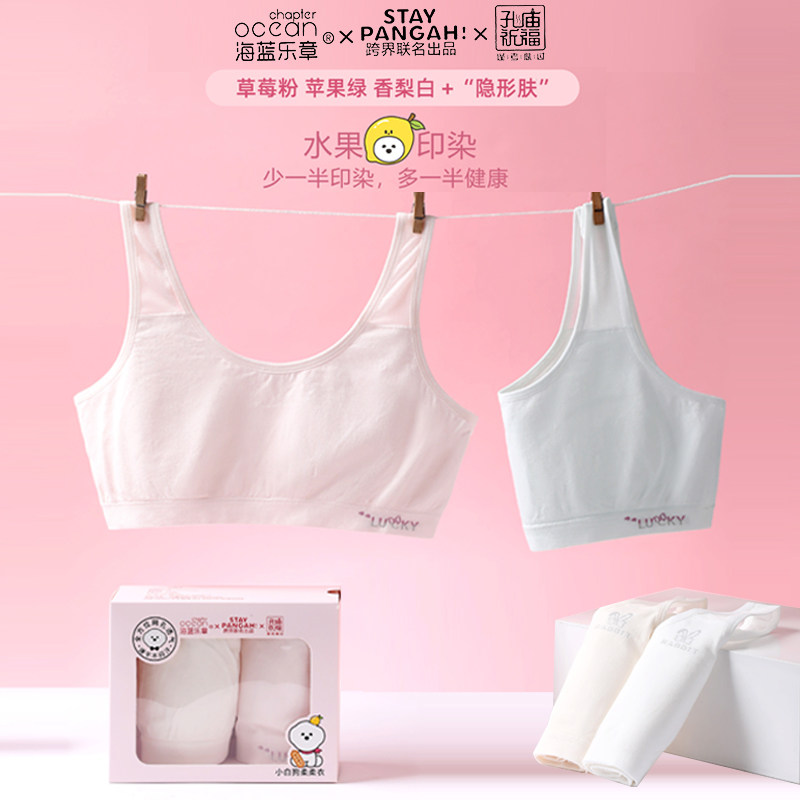 海蓝乐章少女成长内衣一二三阶女大童发育背心初中高中文胸小学生