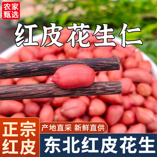 2025东北红衣生花生米500g黑龙江四粒红花生仁新鲜红皮不带壳米仁