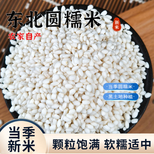 东北圆粒糯米25年农家新米5斤粘大米杂粮香白江米粳米包粽子酒酿