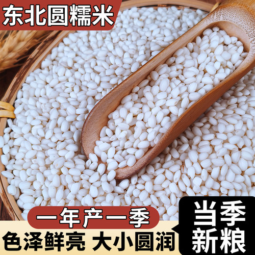 东北新鲜圆糯米25年农家新米粘大米5斤酿酒包粽子糍粑正宗江米