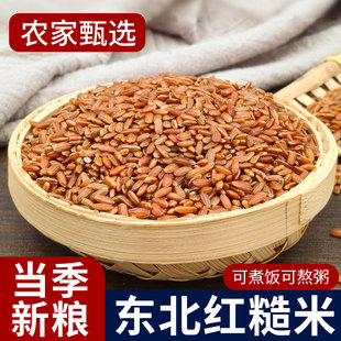 胚芽红糙米24年农家新货粳稻米红米五谷杂粮主食代餐粗粮粥米饭