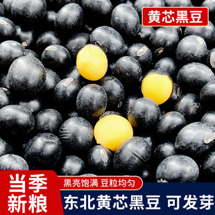 东北黄芯黑豆新货黄仁打豆浆专用五谷杂粮农家黑大豆