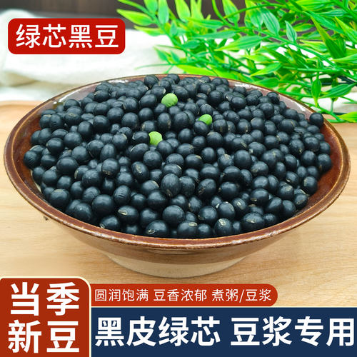 新货绿芯黑豆500g东北黑豆青仁乌豆醋泡打豆浆发豆芽粗粮杂粮