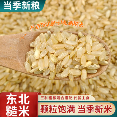 东北糙米2024年新米大米农家粗粮五谷杂粮米饭轻食代餐健身主食