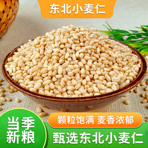 东北小麦仁米2025新米农家自产五谷杂粮脱壳小麦煮粥饭小麦胚芽米