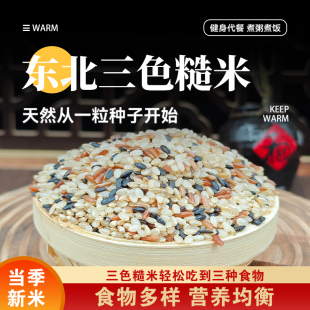 东北三色糙米五谷杂粮三色米饭团粗粮大米黑米红米胚芽米组合主食