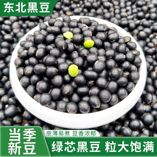 东北绿芯黑豆25年农家自产新货醋泡打豆浆生豆芽专用五谷杂粮豆类