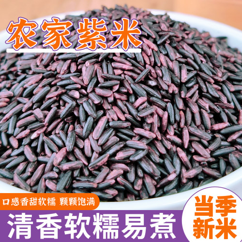 云南紫米五谷杂粮米粗粮糯米搭配大米熬粥蒸饭1斤袋装当季新米