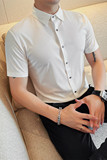 8212-P5879短袖冰丝衬衫男士夏季新款条纹纯色百搭衬衣，男装衬衫，电商B333