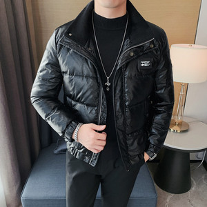 YR08-P315 羽绒服男士拉链款立领外套加厚  白鸭绒图片