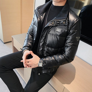 YR08-P315 羽绒服男士拉链款立领外套加厚 白鸭绒图片