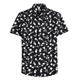 1250-P48男士衬衣夏季新款时尚百搭休闲翻领短袖花衬衫，男装Polo衫，电商B333