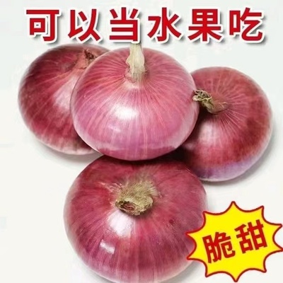 洋葱新鲜水果洋葱甜味生吃紫皮红皮扁洋葱生吃甜圆葱蔬菜