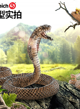 思乐schleich仿真动物模型玩具蛇响尾蛇眼镜蛇大蟒蛇小蛇塑胶摆件
