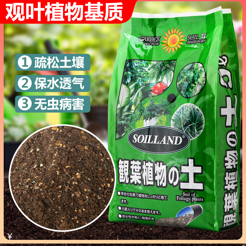 观叶绿叶植物专用营养土家用绿萝发财树龟背竹花土虎皮兰种植泥土