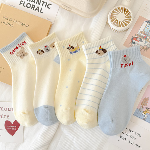 春夏韩版卡通透气低帮棉袜短袜女