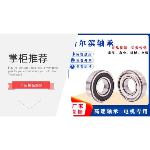 VBZ高速高温定制款6202-2Z-S4