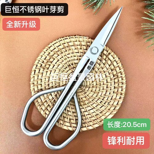 新款球节剪不锈钢修枝尖头剪刀插花剪小枝叶剪盆栽制作造型不锈钢