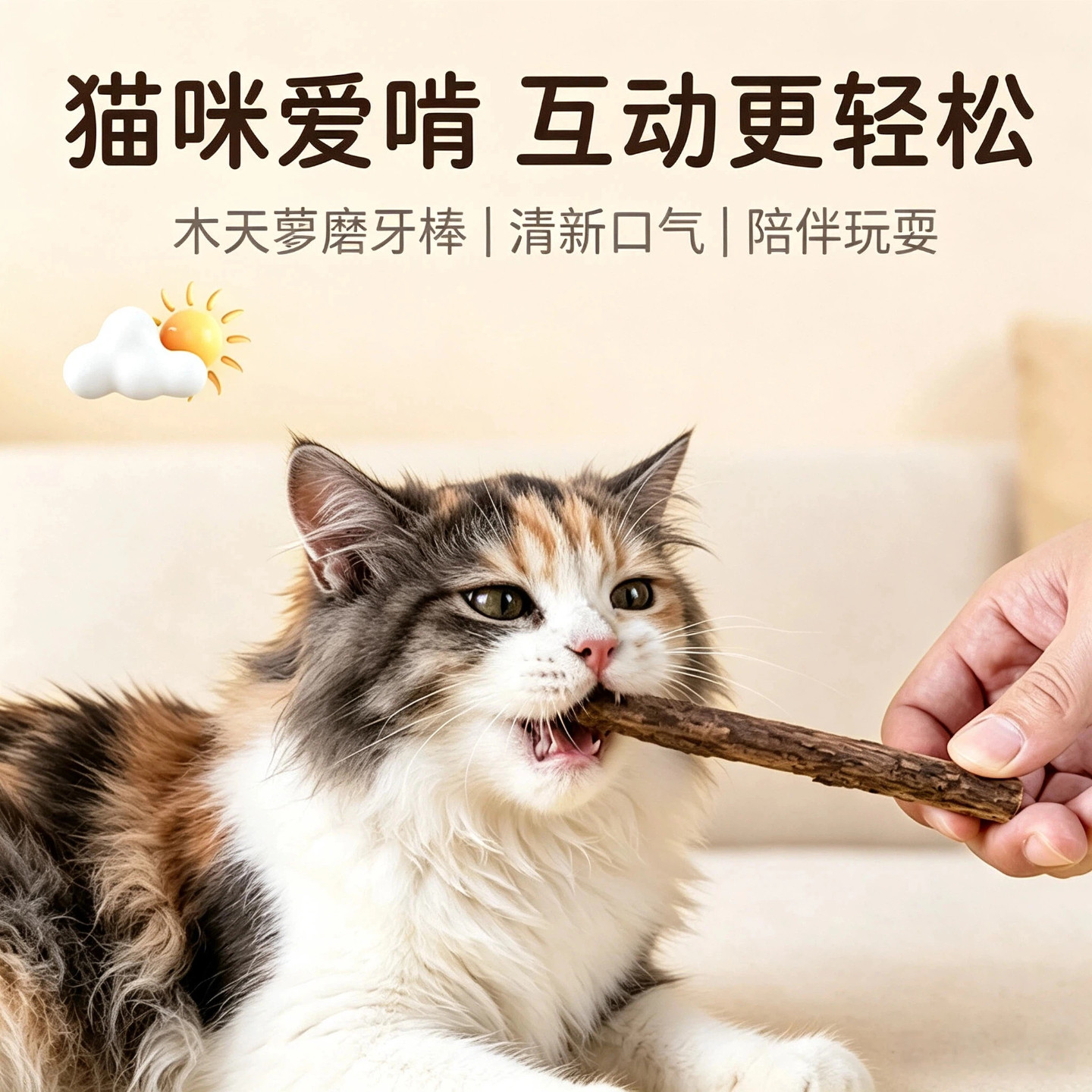 猫咪磨牙棒木天蓼成幼猫洁齿