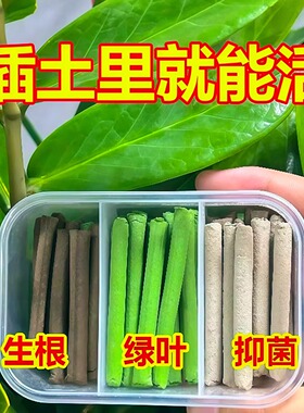 三色植物营养棒缓释棒盆栽花卉多肉通用型缓释营养棒养花肥急救棒
